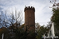 VBS_6039 - Castagnole delle Lanze